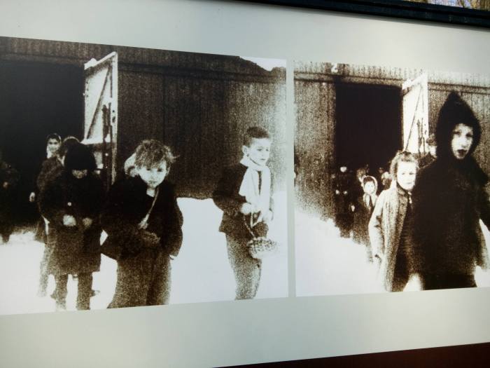 12788350_1116611628381375_734934423_o